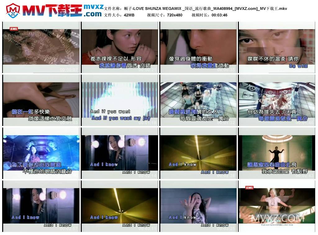 顺子-LOVE SHUNZA MEGAMIX _国语_流行歌曲_MA408994